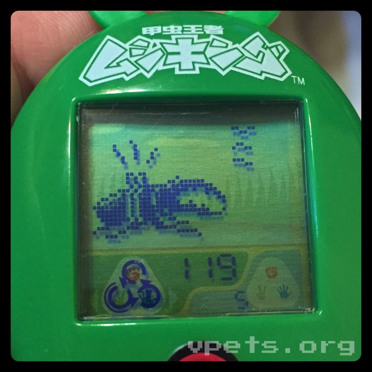 Battle Beetle Tournament